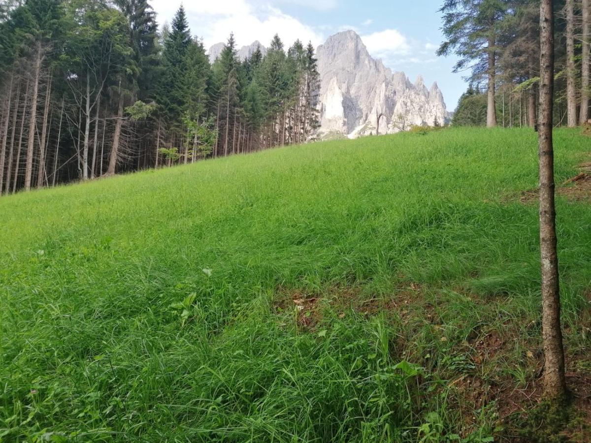 Baita Pra Petina Pale Di San Martino Sirarur Exterior foto