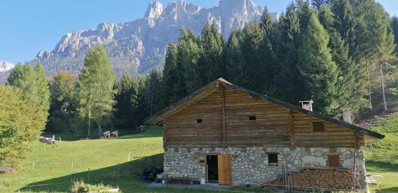 Baita Pra Petina Pale Di San Martino Sirarur Exterior foto