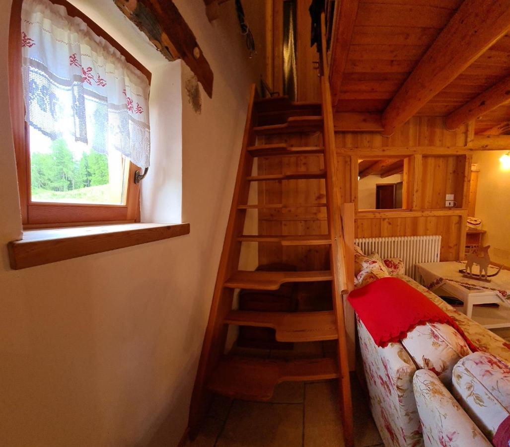 Baita Pra Petina Pale Di San Martino Sirarur Exterior foto